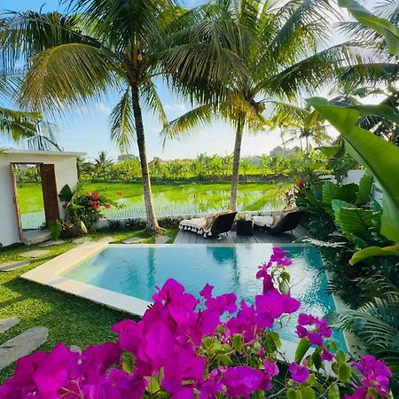 Villa Amara De'Vue Rice-Field Panoramic View W Pool Ig Ubud Kültér fotó