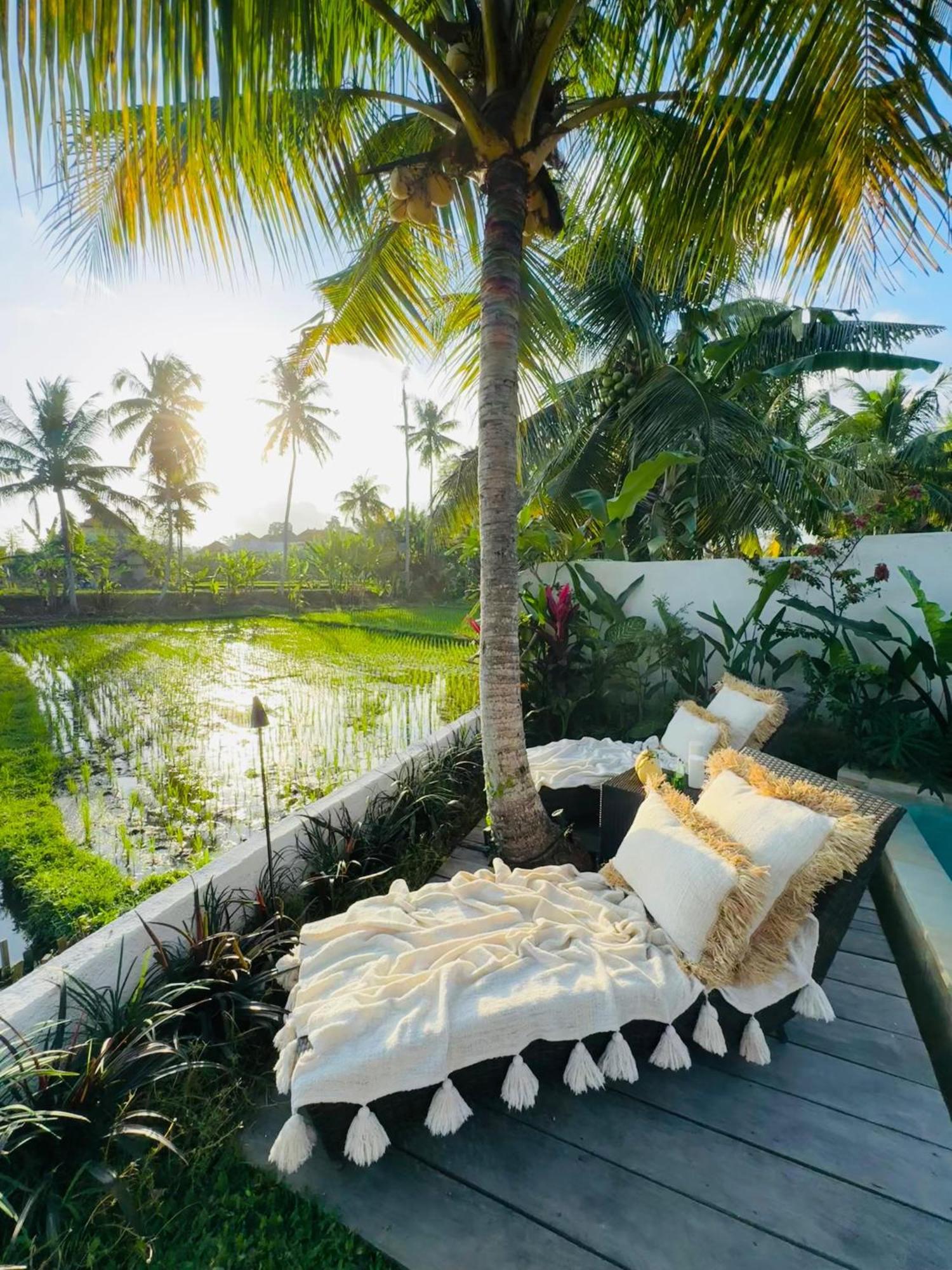Villa Amara De'Vue Rice-Field Panoramic View W Pool Ig Ubud Kültér fotó