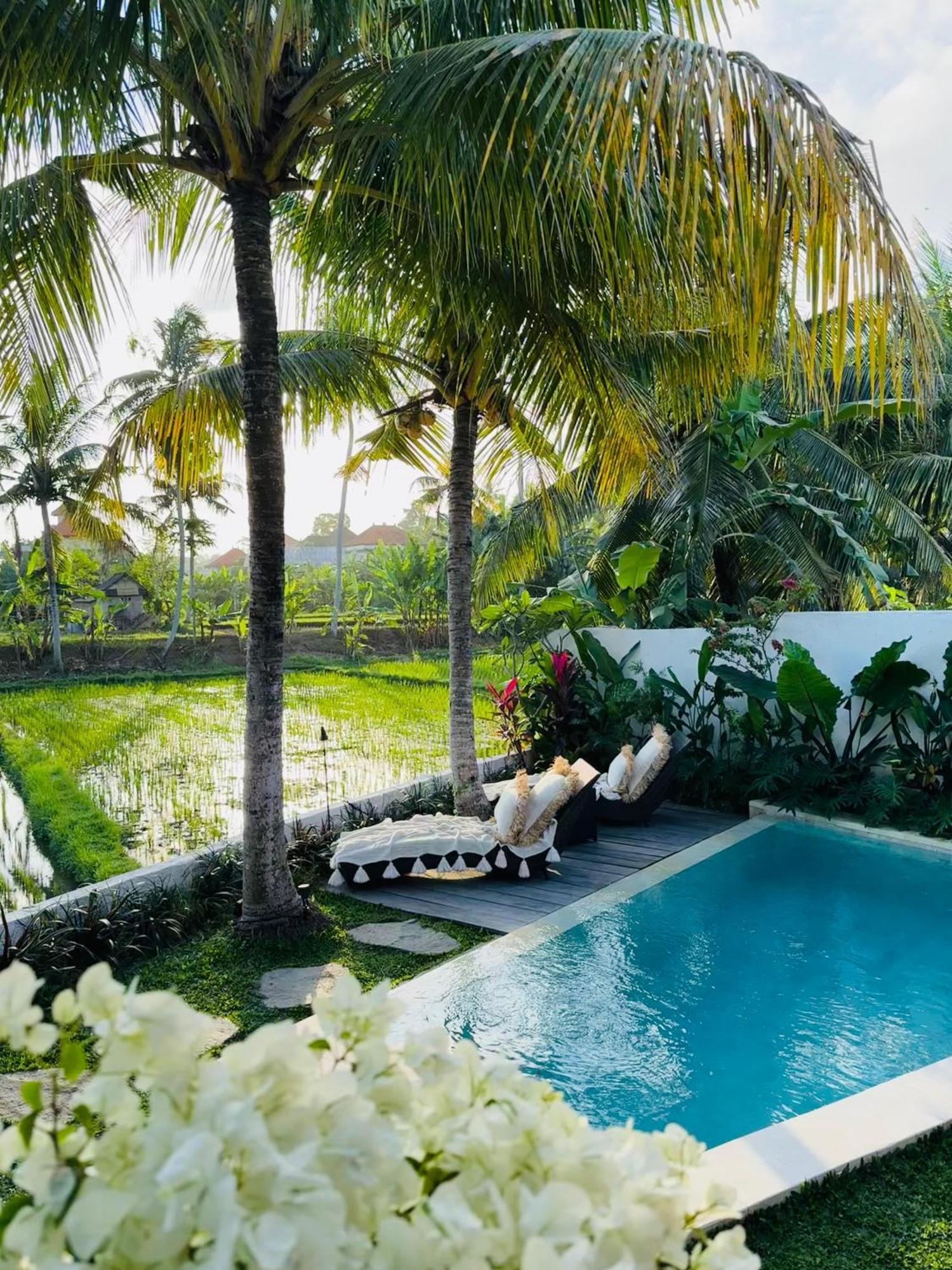 Villa Amara De'Vue Rice-Field Panoramic View W Pool Ig Ubud Kültér fotó