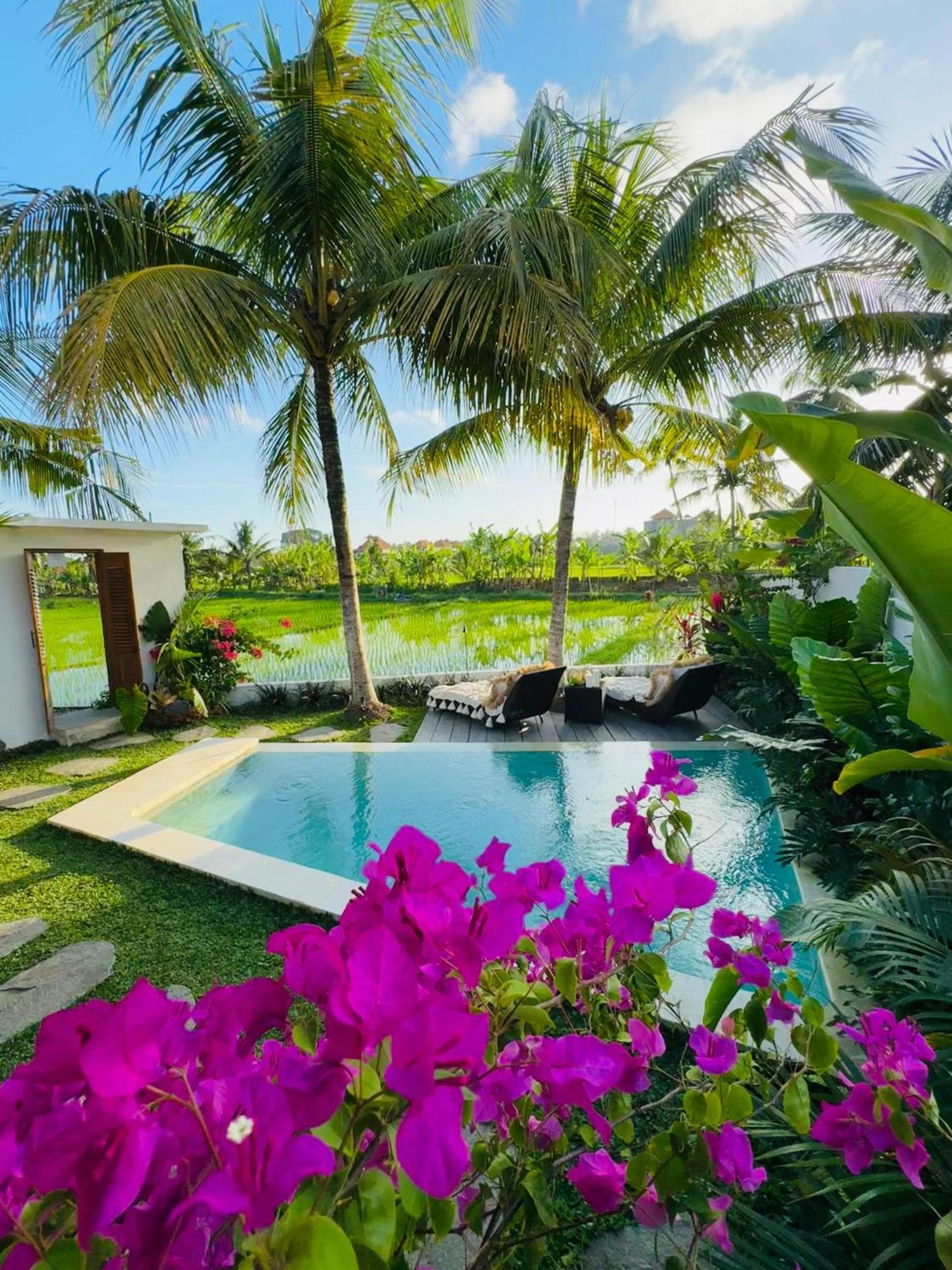 Villa Amara De'Vue Rice-Field Panoramic View W Pool Ig Ubud Kültér fotó